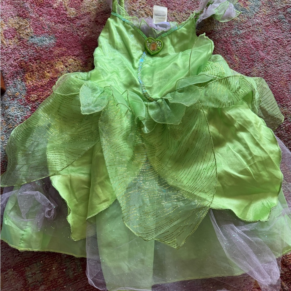 Disney Enchanting Green and Silver Fairy Halloween Costume